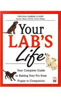Your Lab's Life