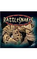 Rattlesnakes