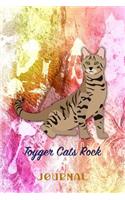 Toyger Cats Rock