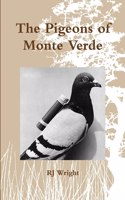 Pigeons of Monte Verde
