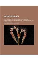 Evergreens; How to Grow Them Including Varieties and Characteristics of the Principal Evergreens of the United States
