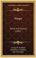 Wasps