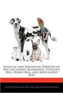 Eusocial and Semisocial Varieties of Bees Including Bumblebees, Stingless Bees, Honey Bees, and Africanized Bees
