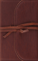ESV Journaling Study Bible