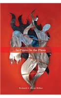 In Pieces in the Plaza