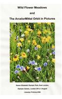 Wild Flower Meadows and the ArcelorMittal Orbit in Pictures: Olympic Legacy