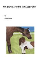 Mr. Biggs and the Miracle Pony
