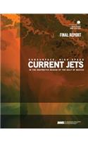Subsurface, High-Speed Current Jets in the Deepwater Region of the Gulf of Mexico: (English)