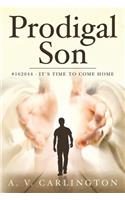 Prodigal Son: #162844 - It's time to come home