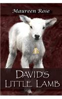 David's Little Lamb