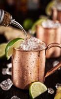 Cold Moscow Mules - Ginger Beer, Lime, and Vodka Journal: 150 Page Lined Notebook/Diary