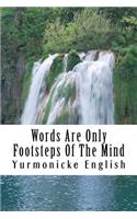 Words Are Only Footsteps of the Mind