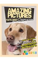 Amazing Pictures and Facts About Labrador Retrievers: The Most Amazing Fact Book for Kids About Labrador Retrievers (Kids U)