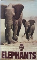 Love of Elephants