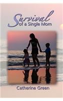 Survival of a Single Mom