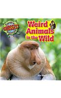 Weird Animals in the Wild