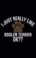 I Just Really Like Boglen Terrier Ok?