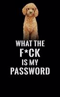 What The F*CK Is My Password, Poodle