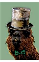 Alpaca Notebook