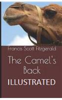 The Camel's Back Illustrated