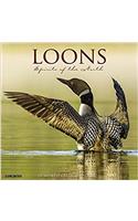 Loons 2018 Wall Calendar