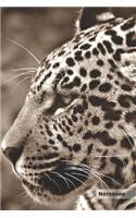 Jaguar Notebook