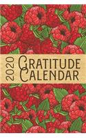 2020 Gratitude Calendar: Raspberry - 365 Days Dated Gratitude Journal For A Thankful New Year(21 Fruit and Vegetables for Garden Lovers)