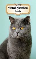 2020 British Shorthair Agenda