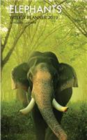 Elephants Weekly Planner 2019