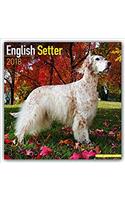 English Setter Calendar 2018