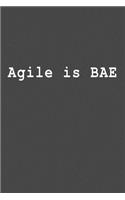 Agile Is Bae