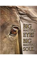 Big Beautiful Eyes Big Beautiful Soul: Large Size Internet Password Organizer 8 1/2" X 11," Large Print Book