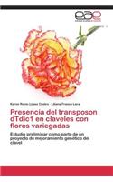 Presencia del transposon dTdic1 en claveles con flores variegadas