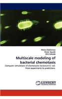 Multiscale Modeling of Bacterial Chemotaxis