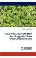 Sclerotinia Crown and Stem Rot of Egyptian Clover