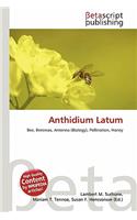 Anthidium Latum: (English)