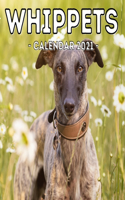 Whippets Calendar 2021: 16-Month Calendar, Cute Gift Idea For Whippet Lovers Women & Men