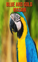 Blue and Gold Macaw