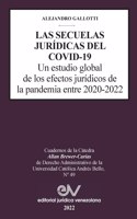 SECUELAS JURÍDICAS DEL COVID-19. Un estudio global de los efectos jurídicos de la pandemia entre 2020-2022