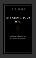 Ubiquitous Siva