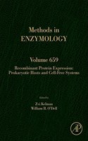 Recombinant Protein Expression: Prokaryotic Hosts and Cell-Free Systems