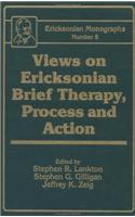 Views on Ericksonian Brief Therapy