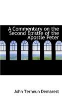 A Commentary on the Second Epistle of the Apostle Peter