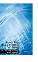 Grases of North America for Farmers and Students
