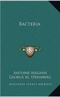 Bacteria