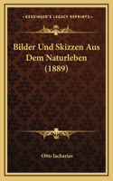 Bilder Und Skizzen Aus Dem Naturleben (1889)