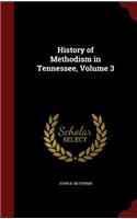 History of Methodism in Tennessee, Volume 3