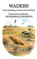 Waders: their Breeding, Haunts and Watchers
