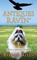 Antiques Ravin'