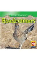 Roadrunners